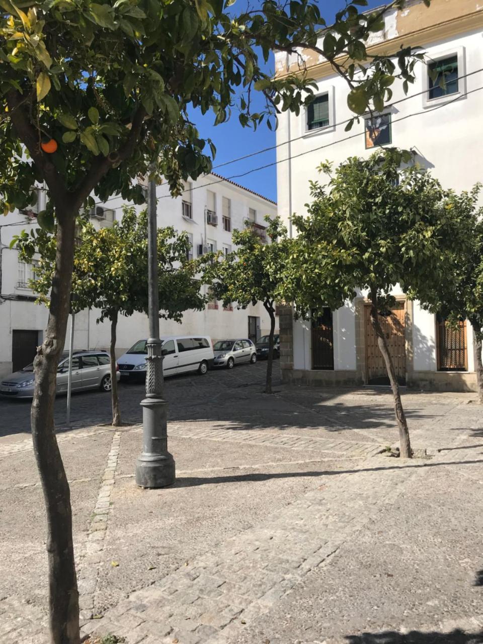 Apartamento !!Vive Jerez!! Jerez de la Frontera Eksteriør bilde